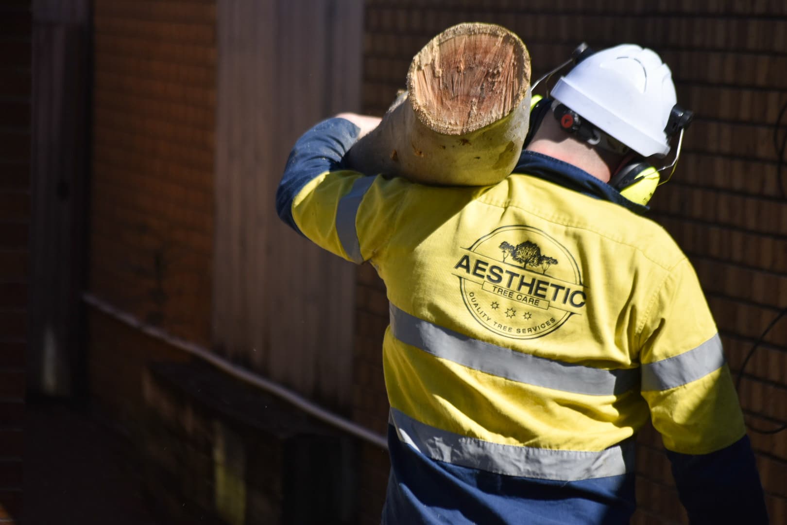 Aesthetic Tree Care team member carrying timber
