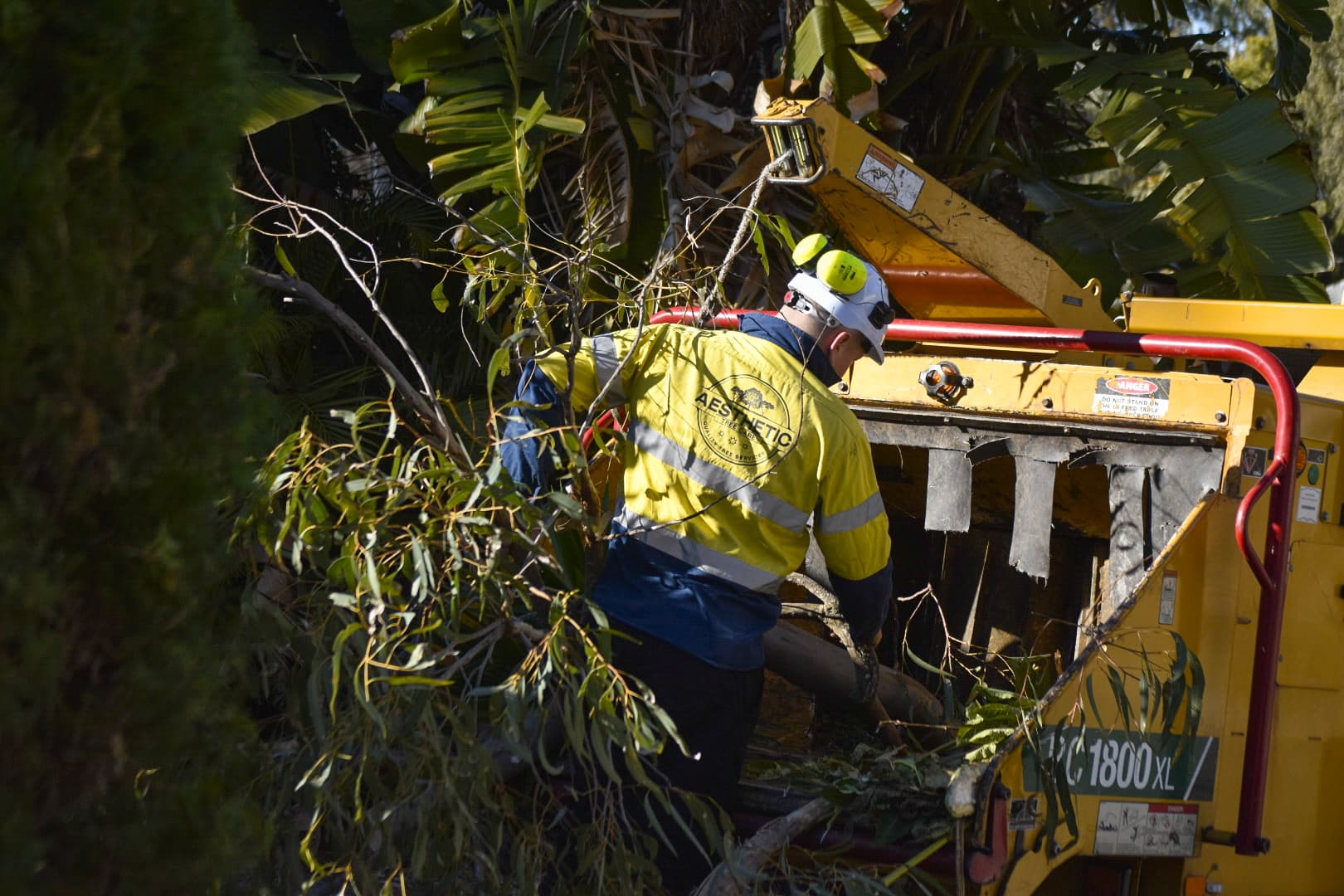 Tree care team processing green waste with chipper