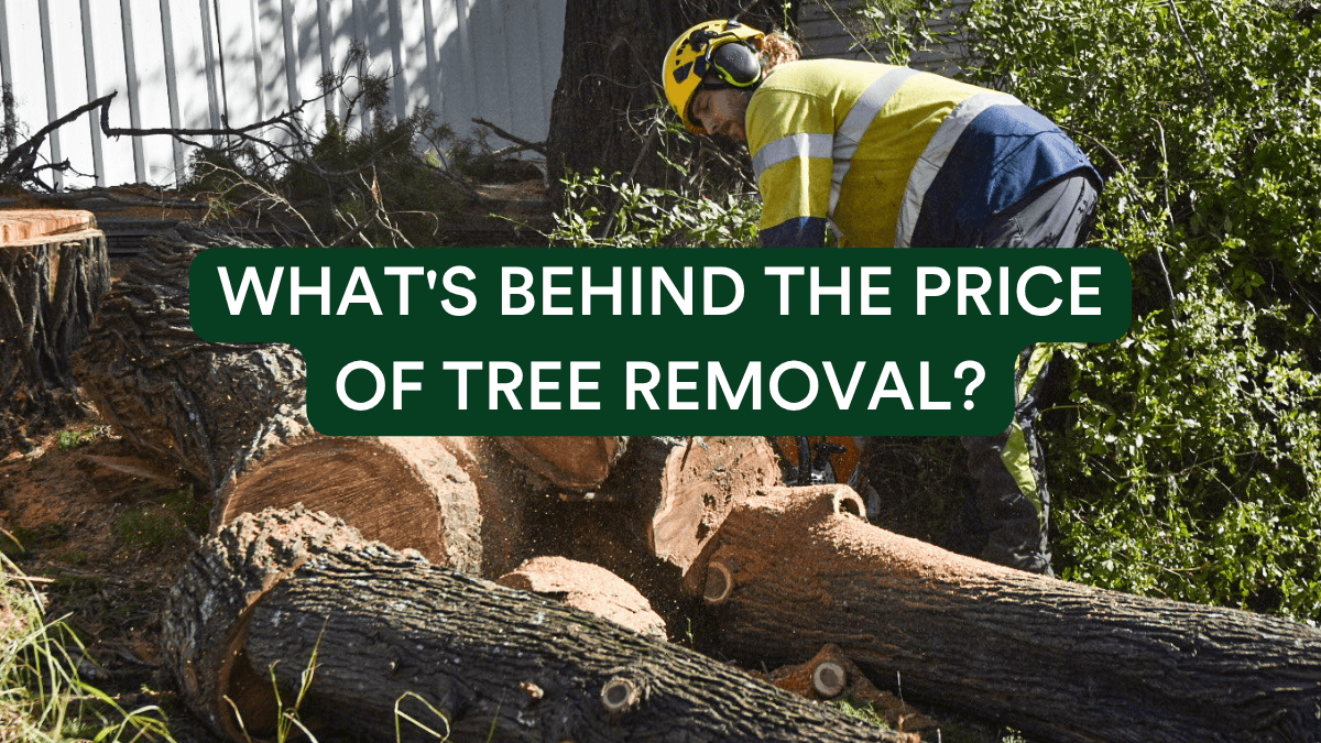 ATC Tree Removal Cost Header