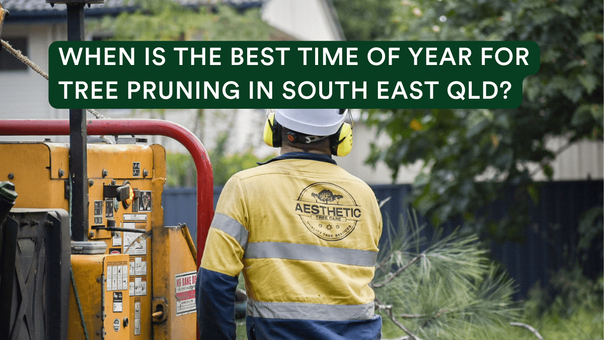Pruning Season Header