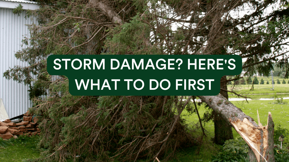 Storm Damage